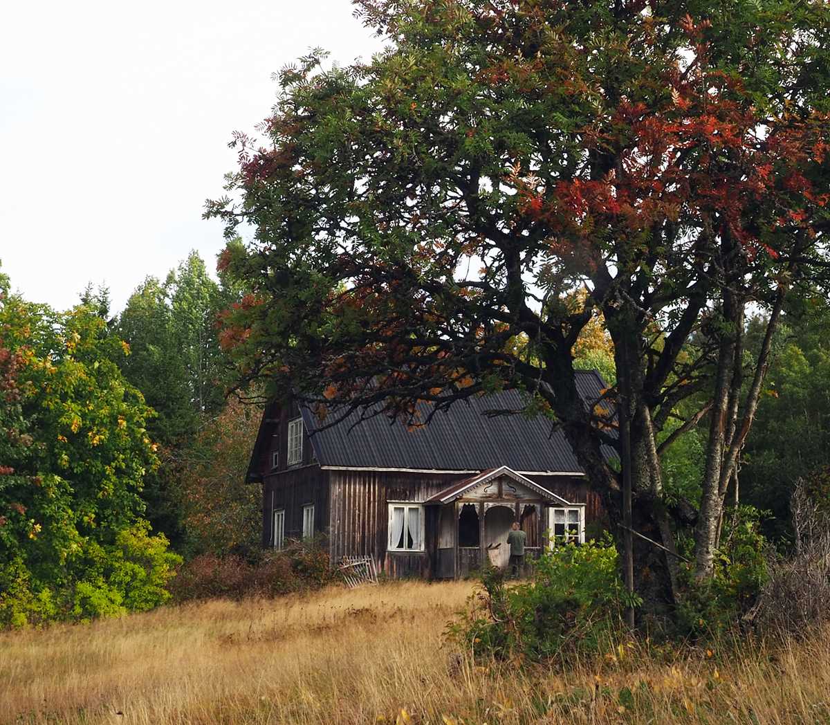 Skogfinnetorpet Abborhøgda, Kongsvinger.